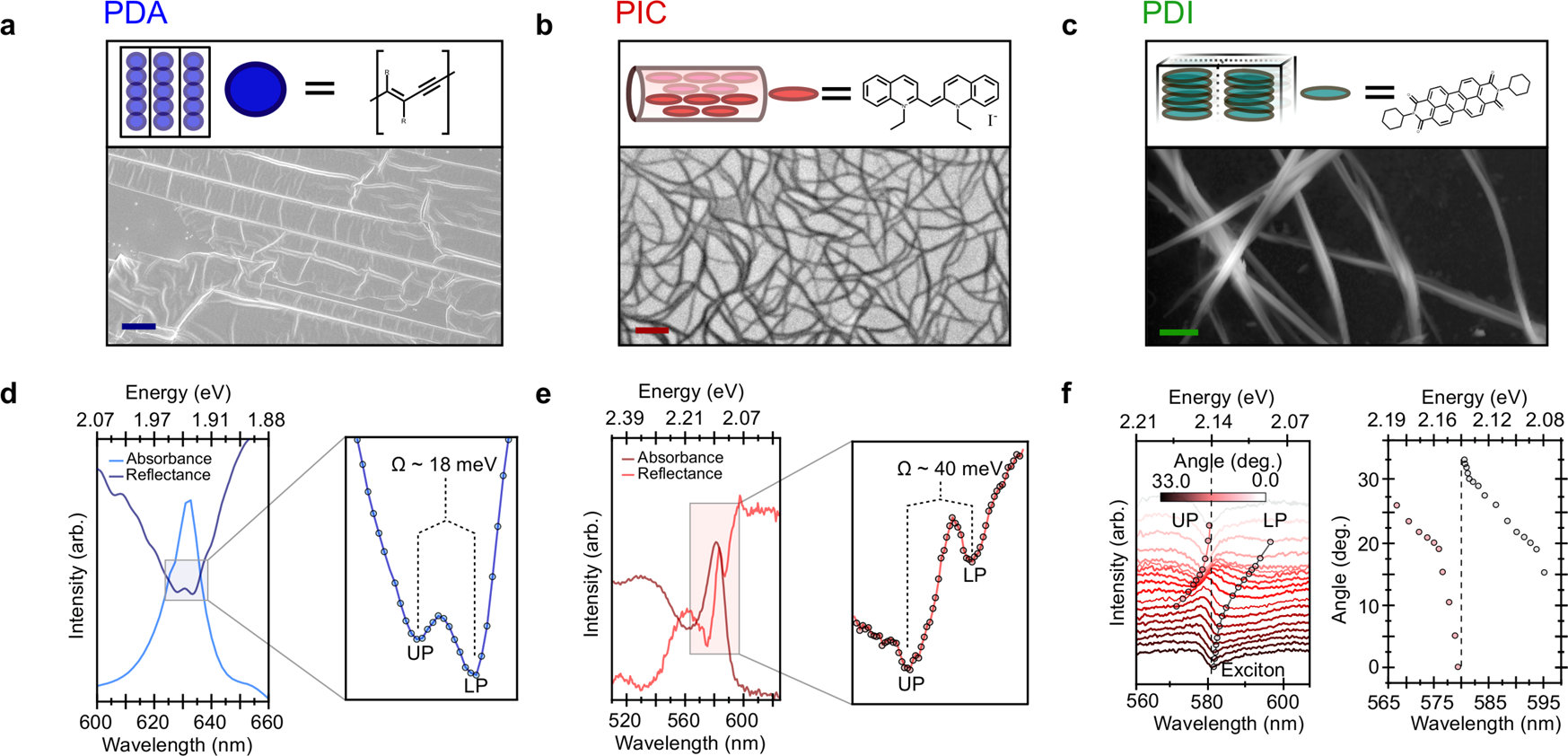 Microcavity-like exciton-polaritons can be the primary photoexcitation in  bare organic semiconductors