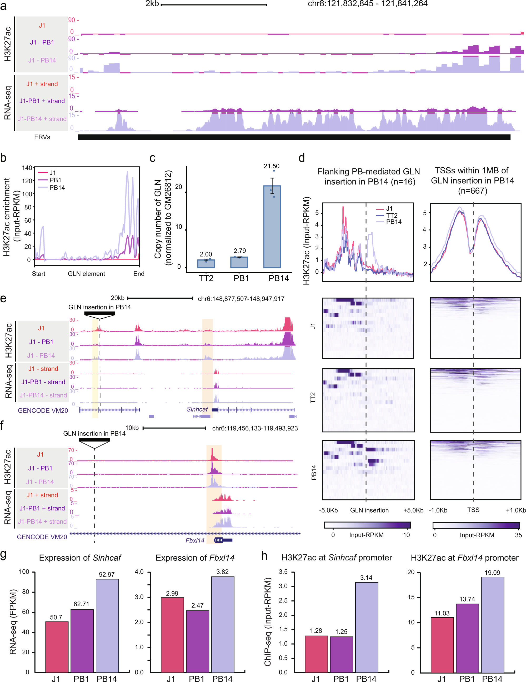 Fig. 3: GLN integrations can shape nearby epigenetic and transcriptional states in a position-dependent manner.