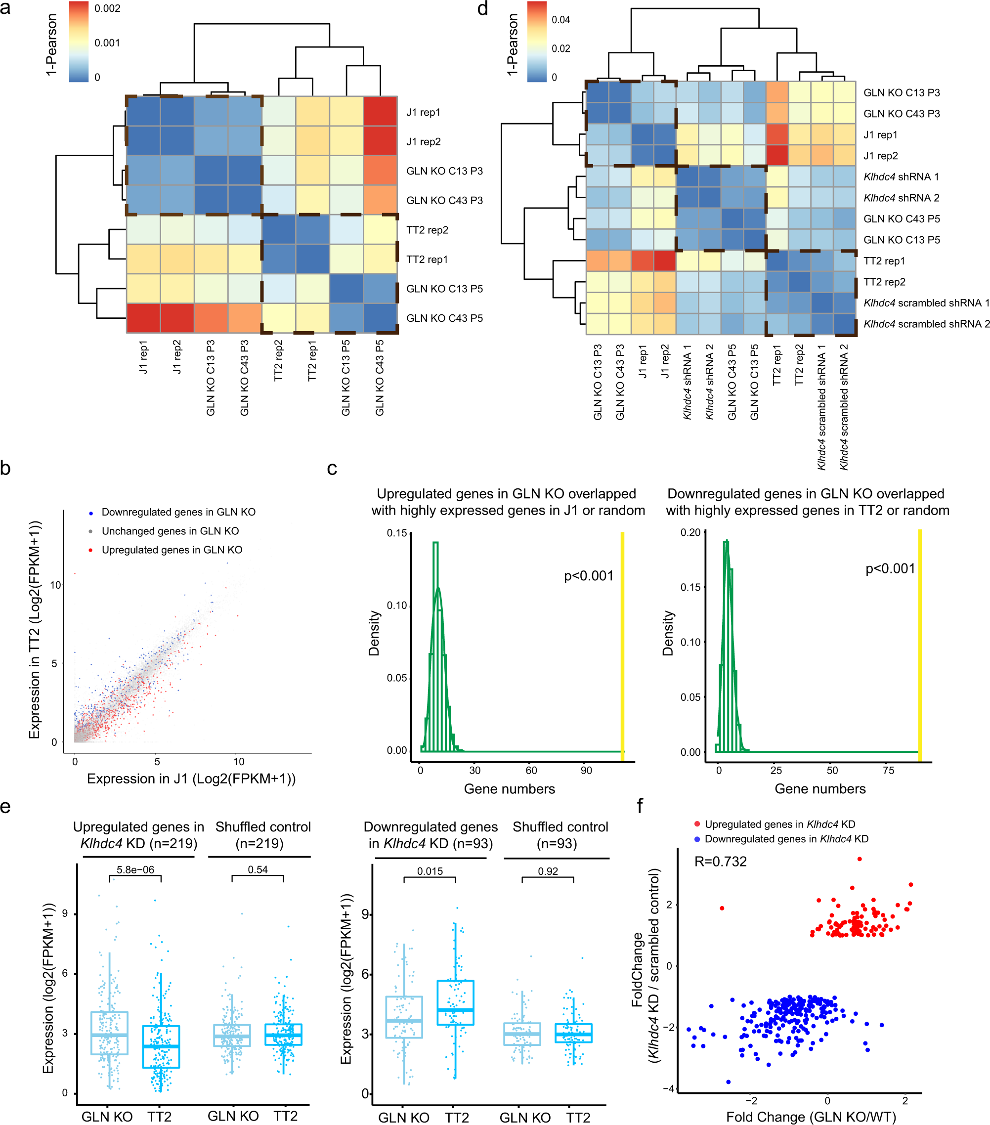 Fig. 4: The polymorphic GLN element contributes to strain-specific transcriptomic patterns.