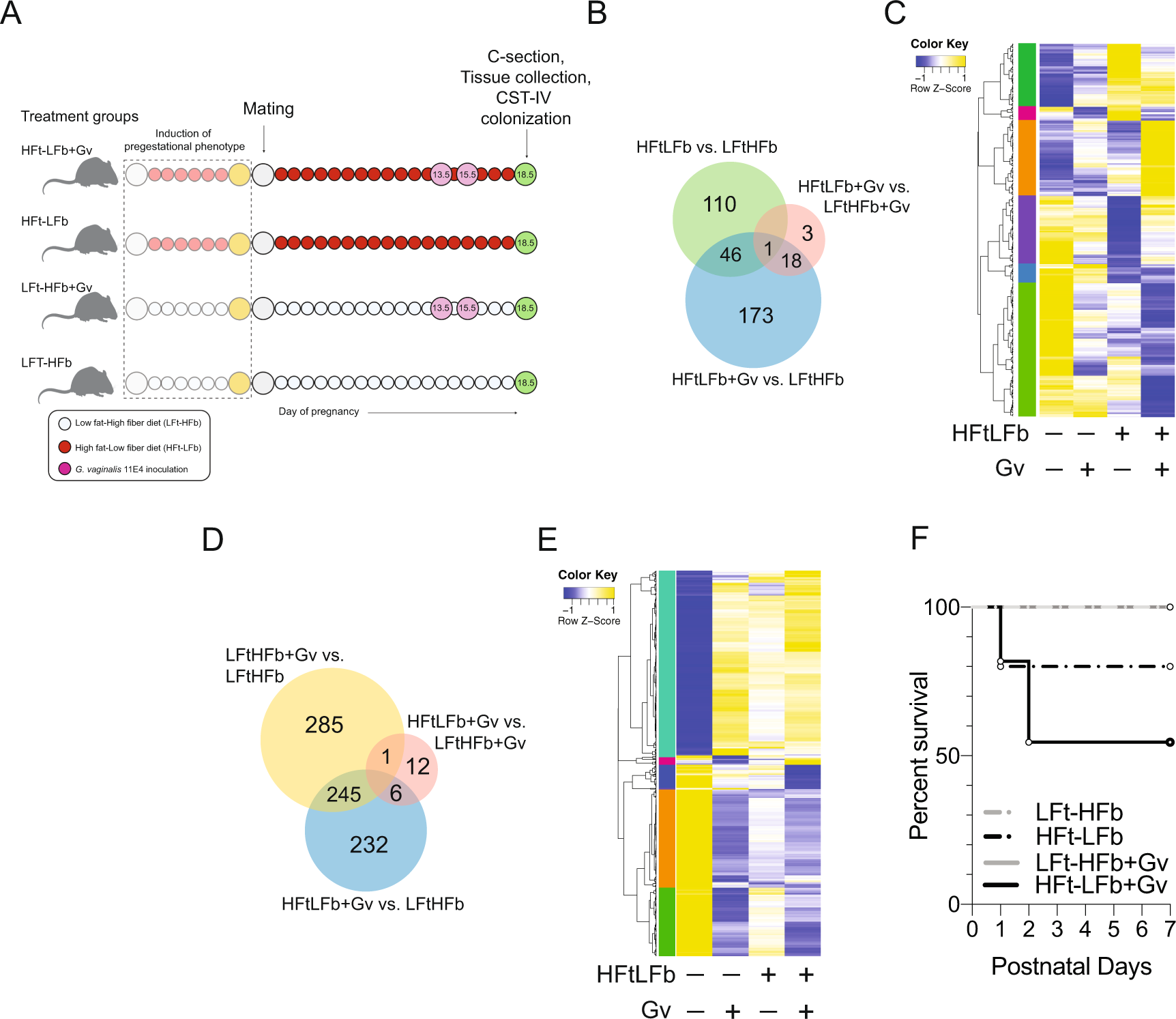 Fig. 4: Prenatal exposure to maternal diet-induced obesity and a nonoptimal vaginal microbiota alter the transcriptional landscape in the placenta and fetal ileum of male offspring.