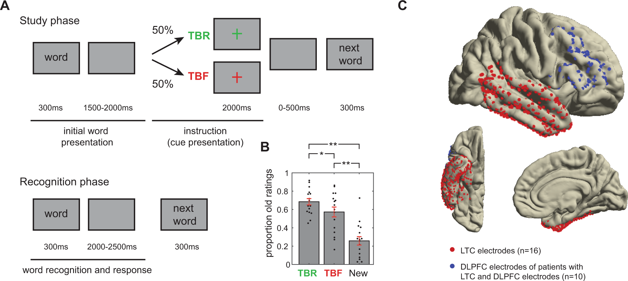 Fig. 2: Experimental design and behavioral results.
