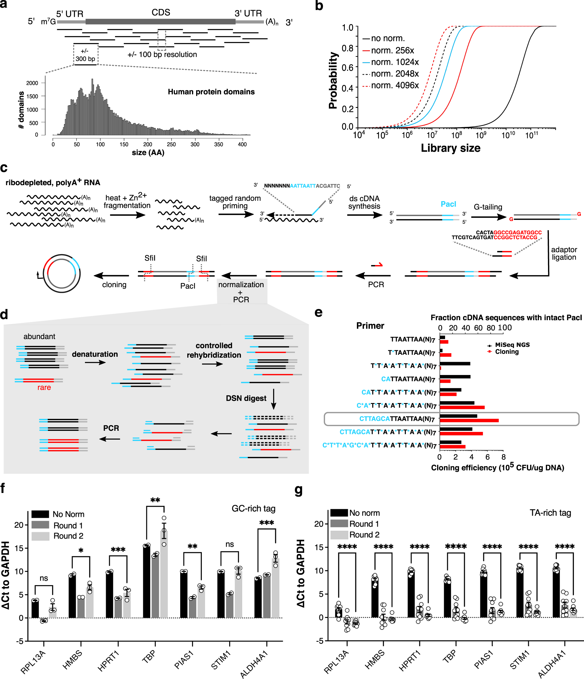 Massively parallel interrogation of protein fragment secretability using  SECRiFY reveals features influencing secretory system transit | Nature  Communications