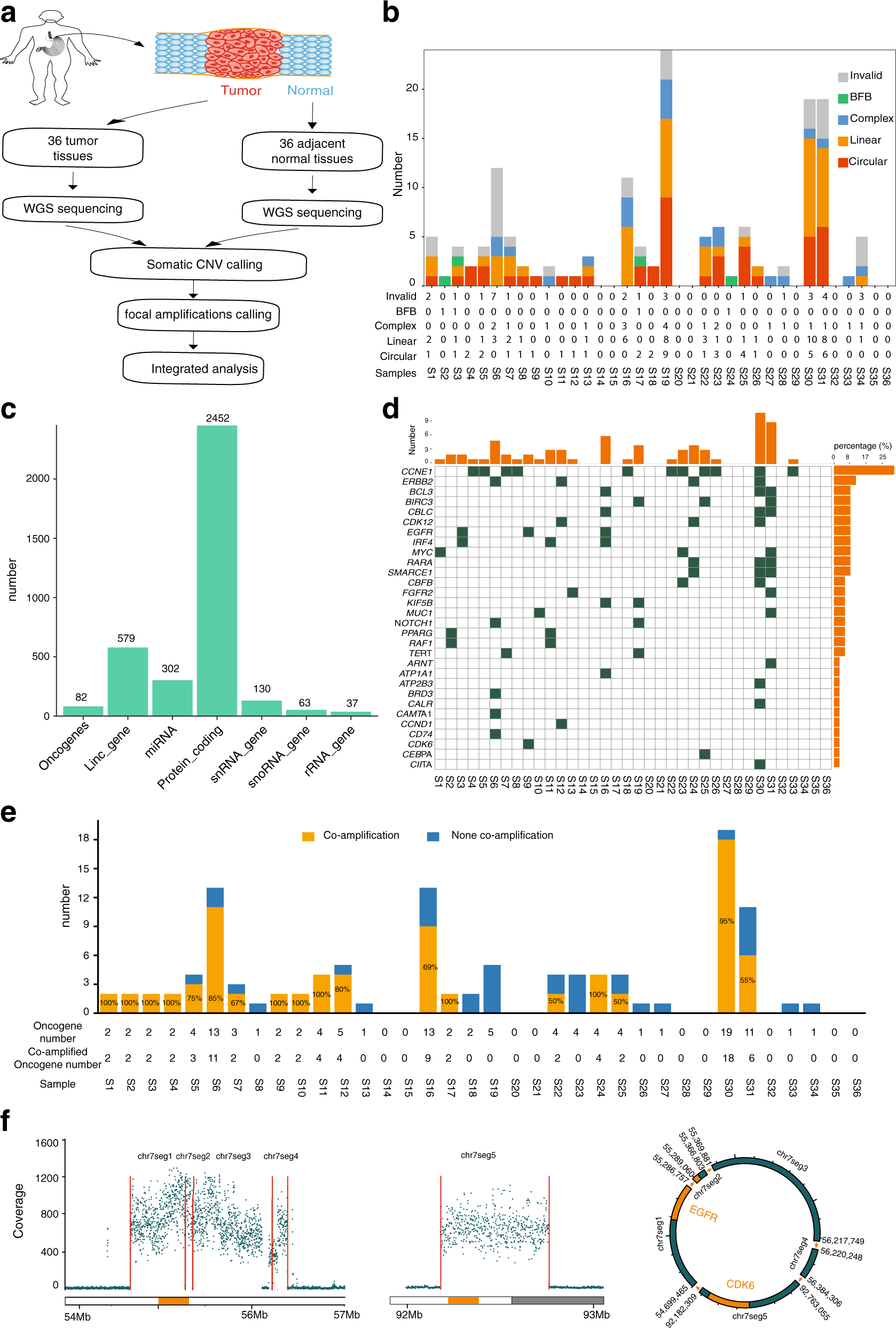 Focal amplifications are associated with chromothripsis events and diverse  prognoses in gastric cardia adenocarcinoma | Nature Communications