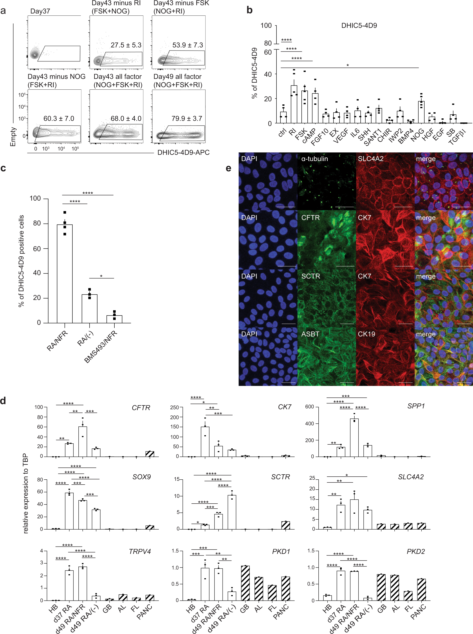 Fig. 2: FSK, NOG, and RI promote the generation of DHIC5-4D9 positive cells.