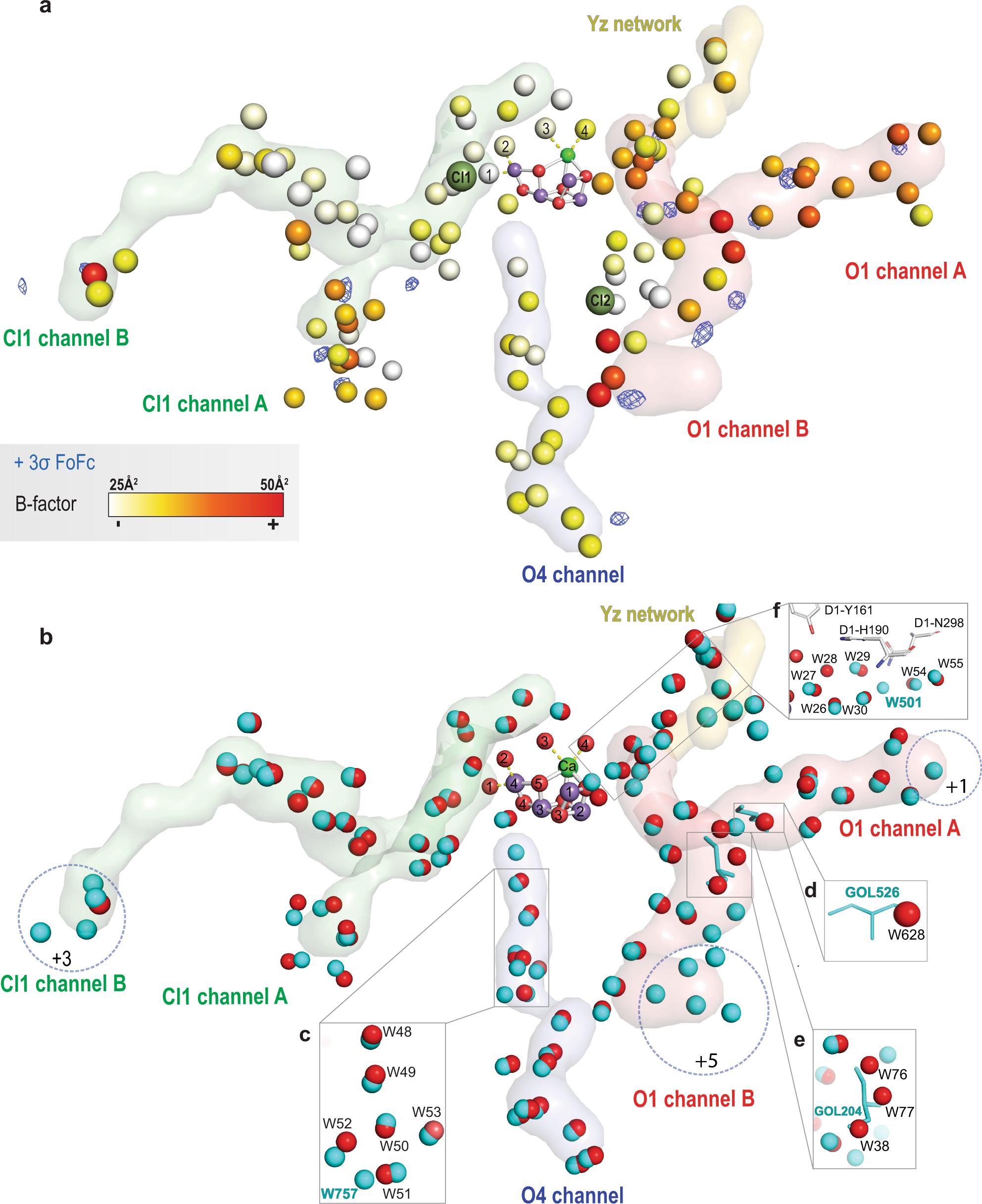 Fig. 2: Water channels in the 1.89 Å resolution RT structure.