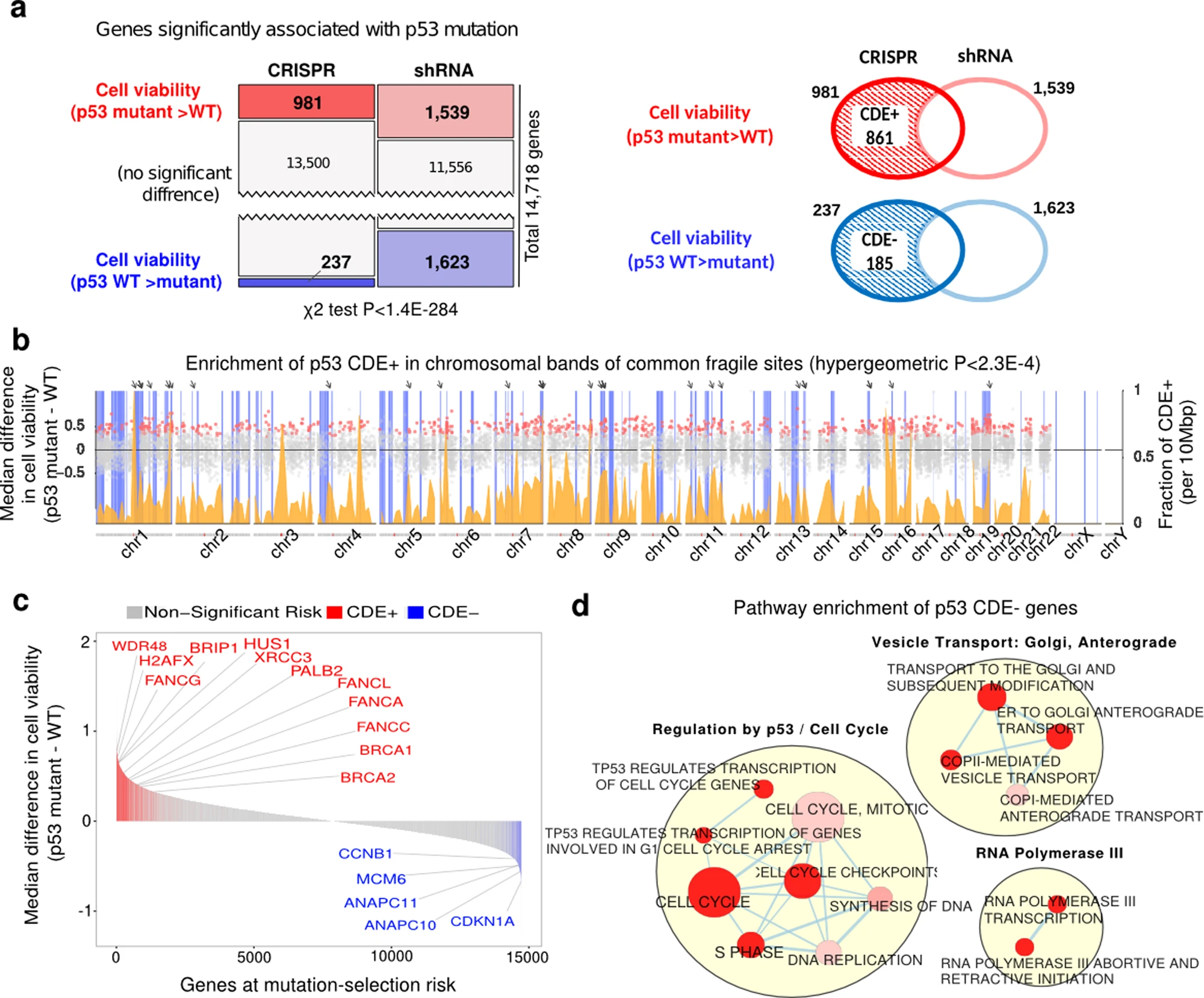 A systematic genome-wide mapping of oncogenic mutation selection during CRISPR-Cas9 genome editing