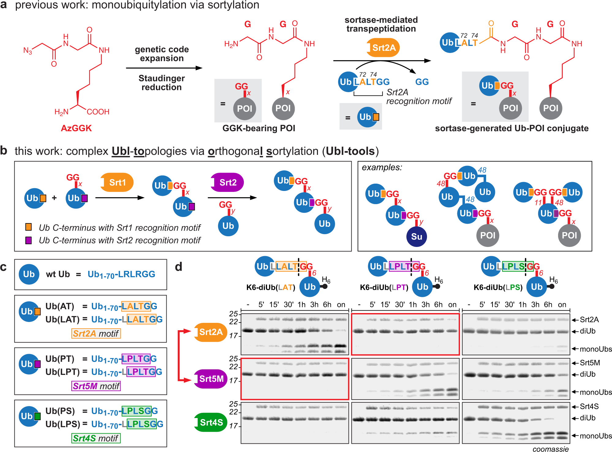 gc max tablet glutathione Peroxisomes are critical for a unique metabolic demand and survival of  alveolar macrophages: Cell Reports