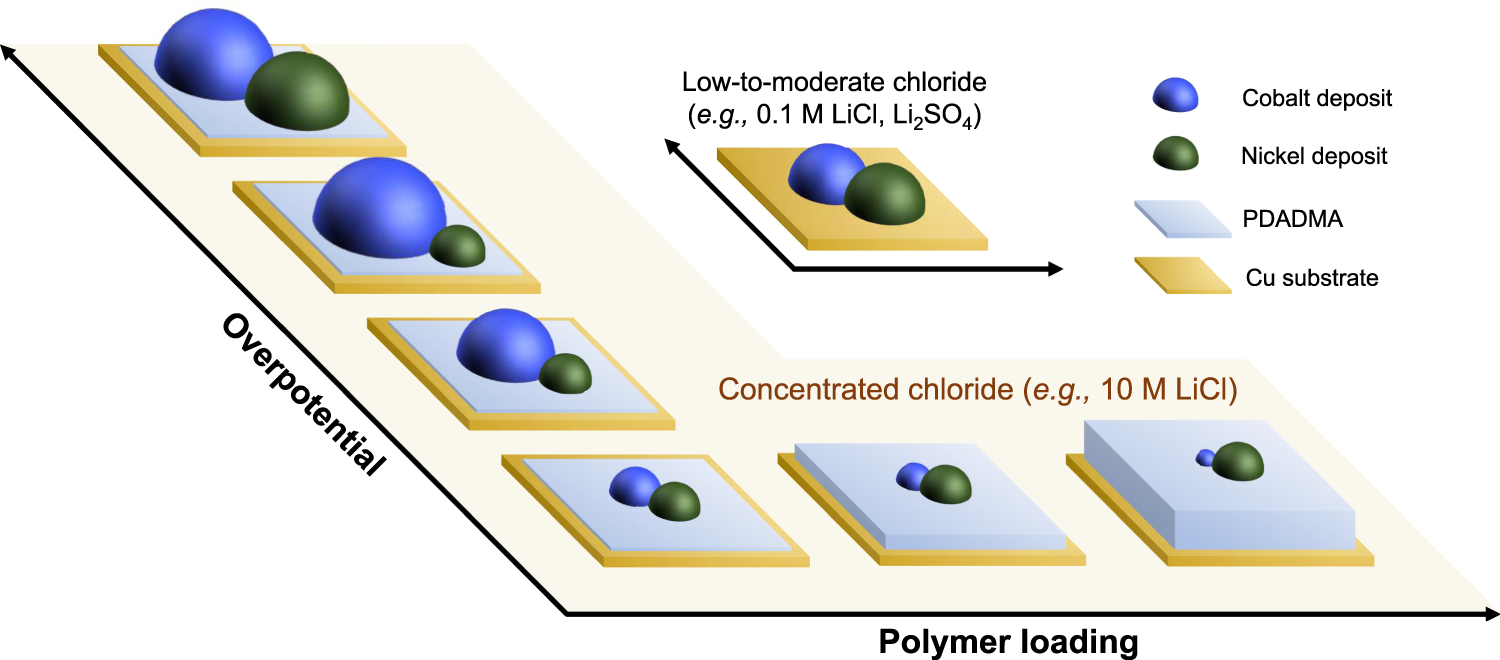 Scale-Up Study of Molten Salt Electrolysis using Cu or Ag Cathode