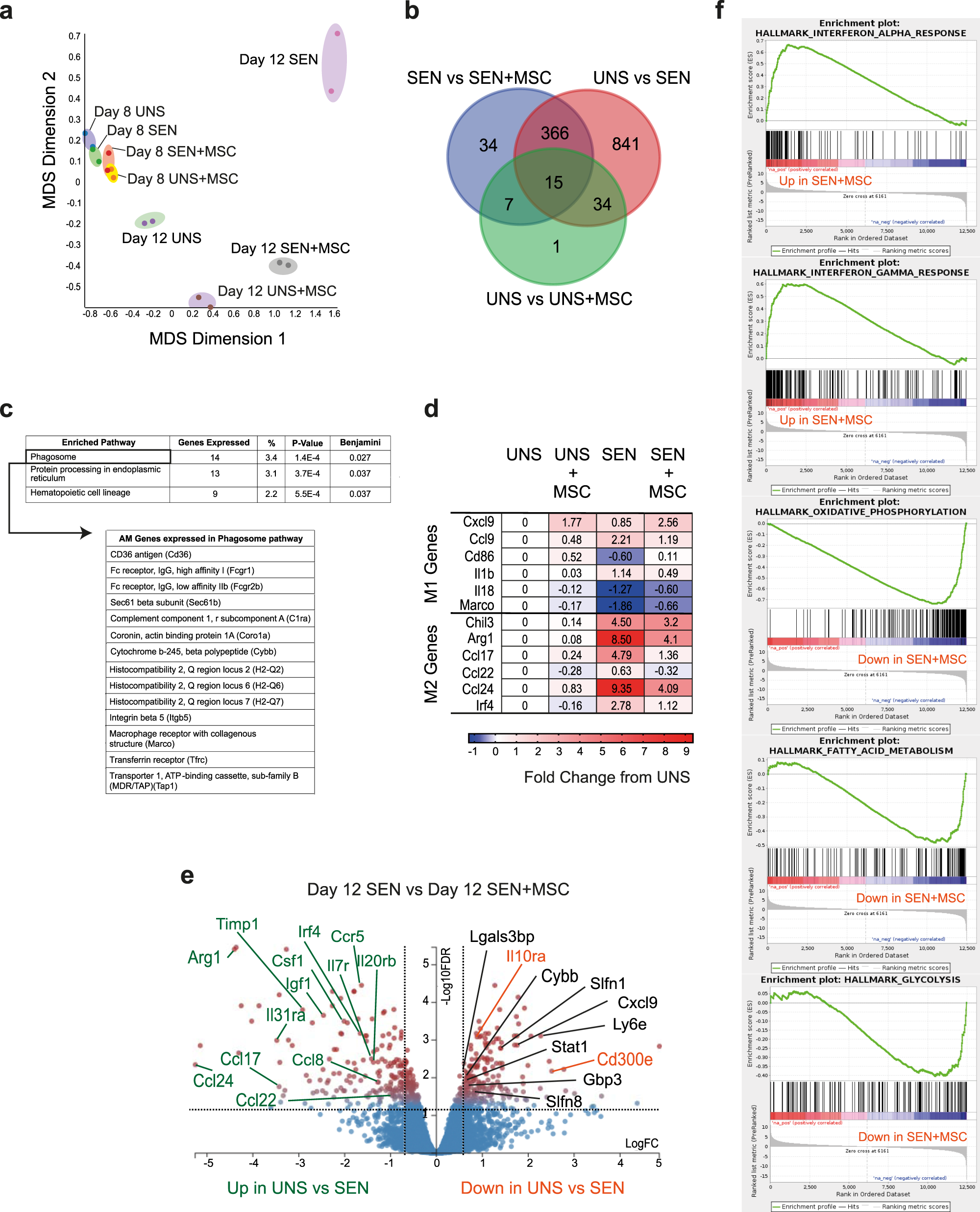 Fig. 6: MSC treatment causes major transcriptional changes in AMs to dampen lung inflammation and asthma.