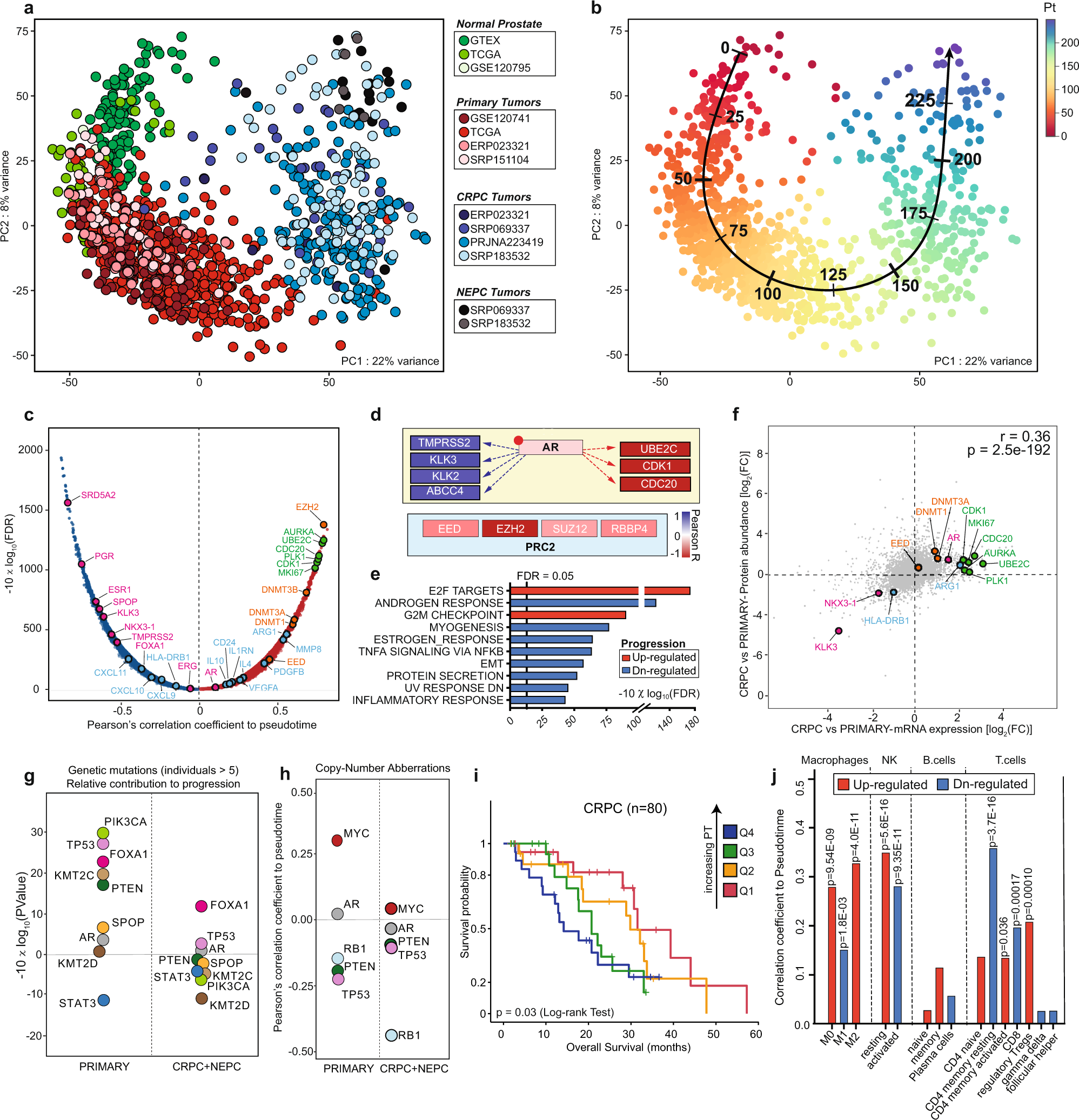 How to analyze tweets on X? A step by step guide - ATLAS.ti