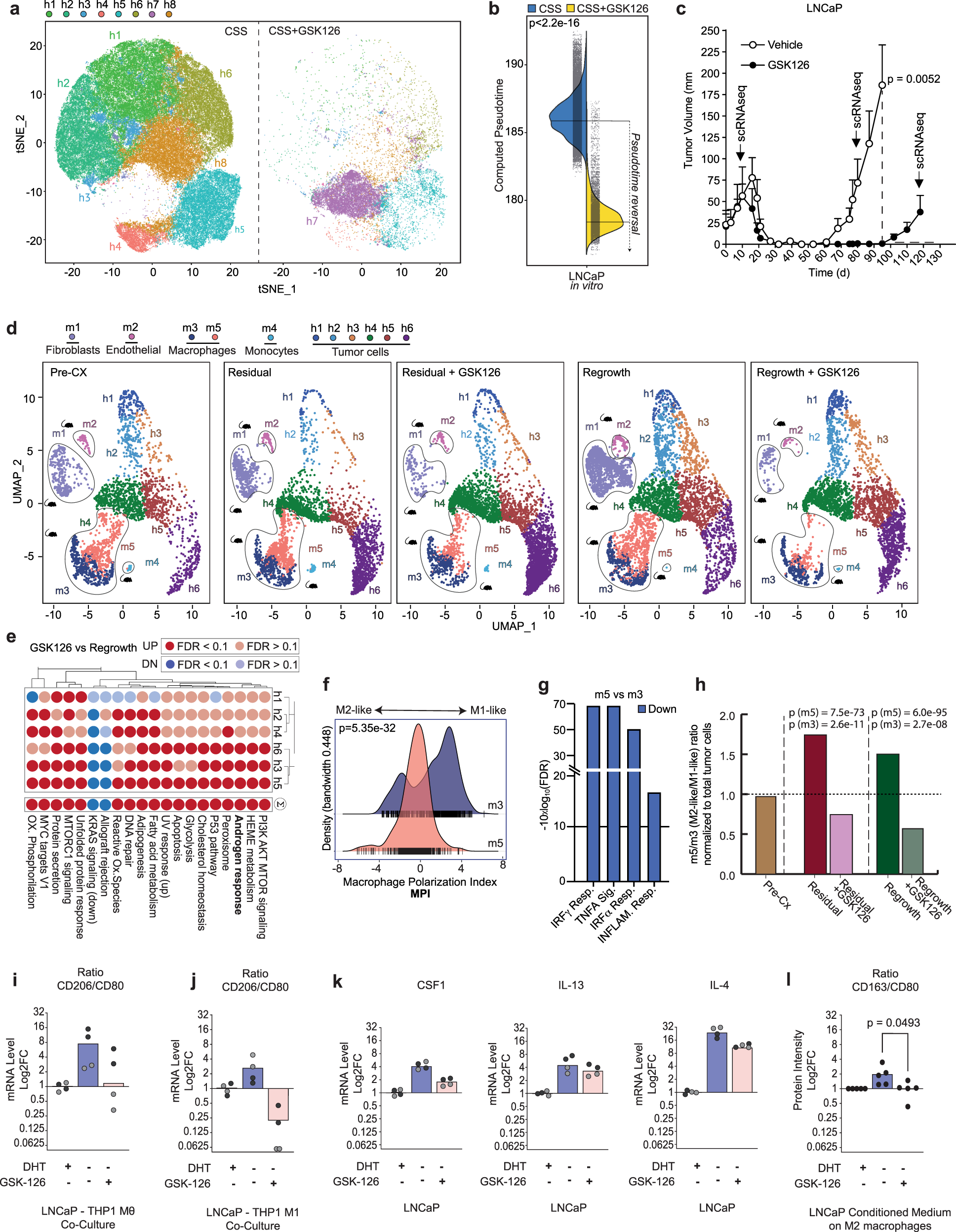 Fig. 4: EZH2 inhibition cooperates with castration.