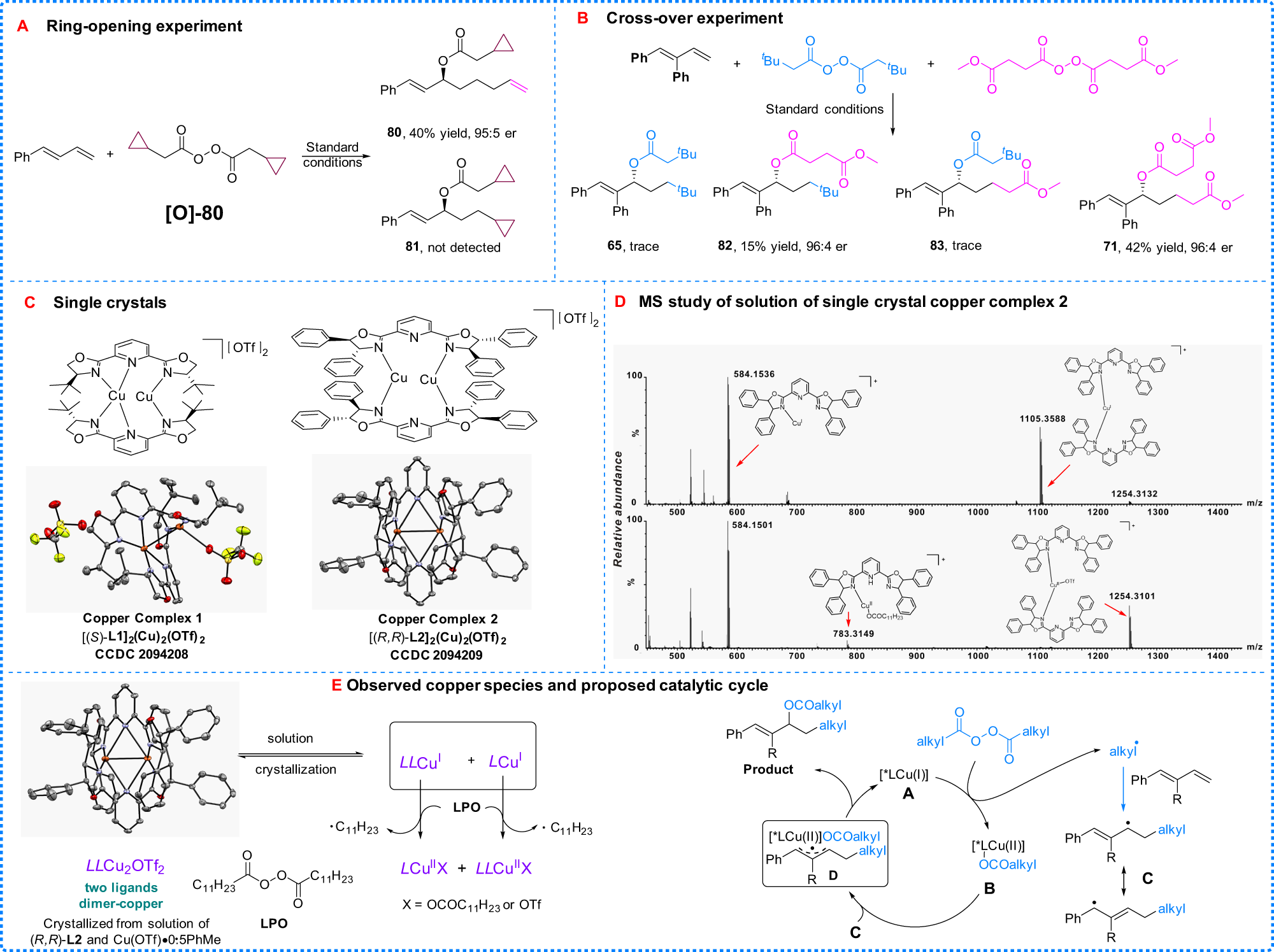 Fig. 5: Mechanistic studies.
