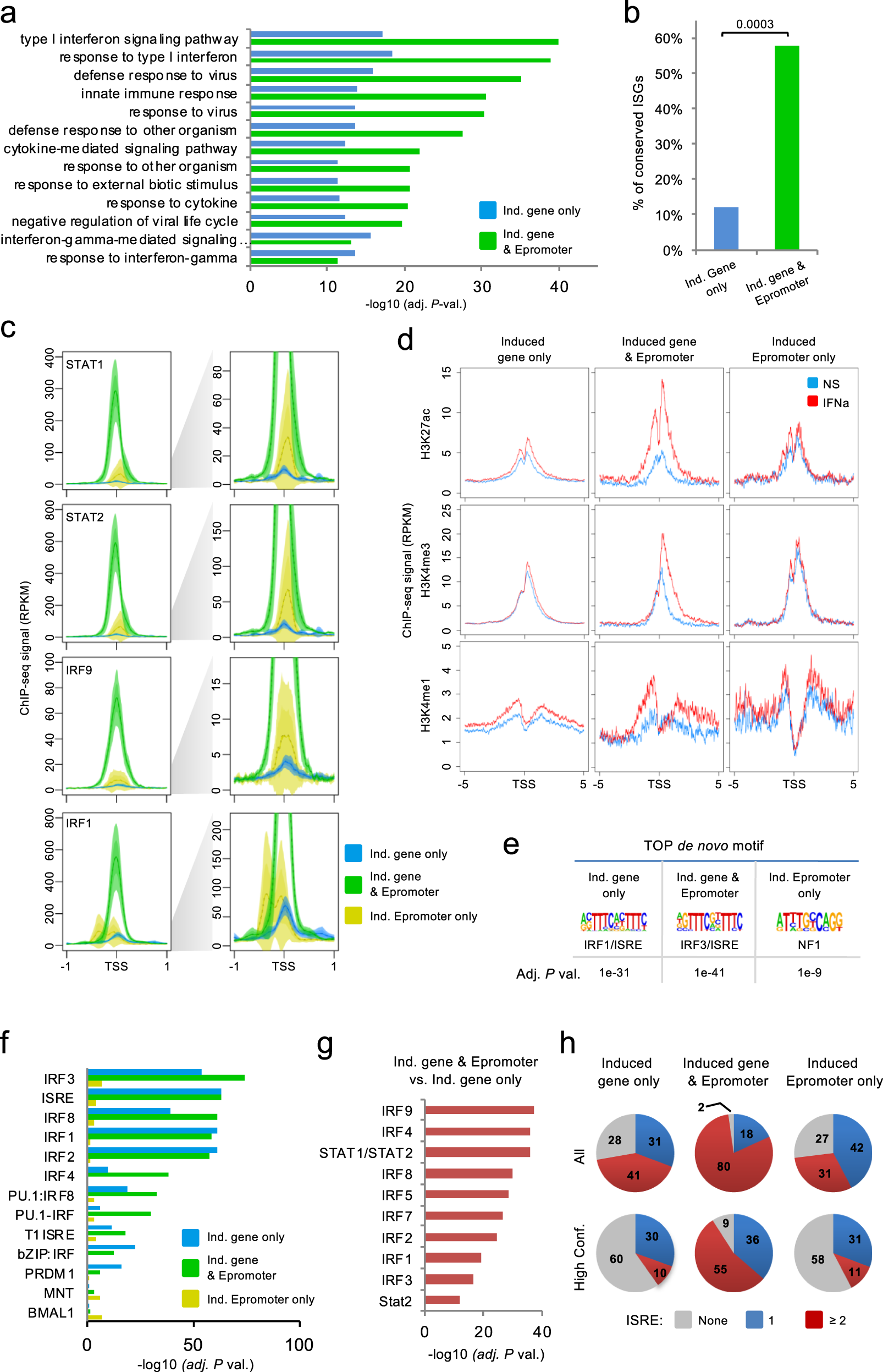 Fig. 2: Genomic and epigenomic characteristics of IFNa-induced genes and Epromoters.