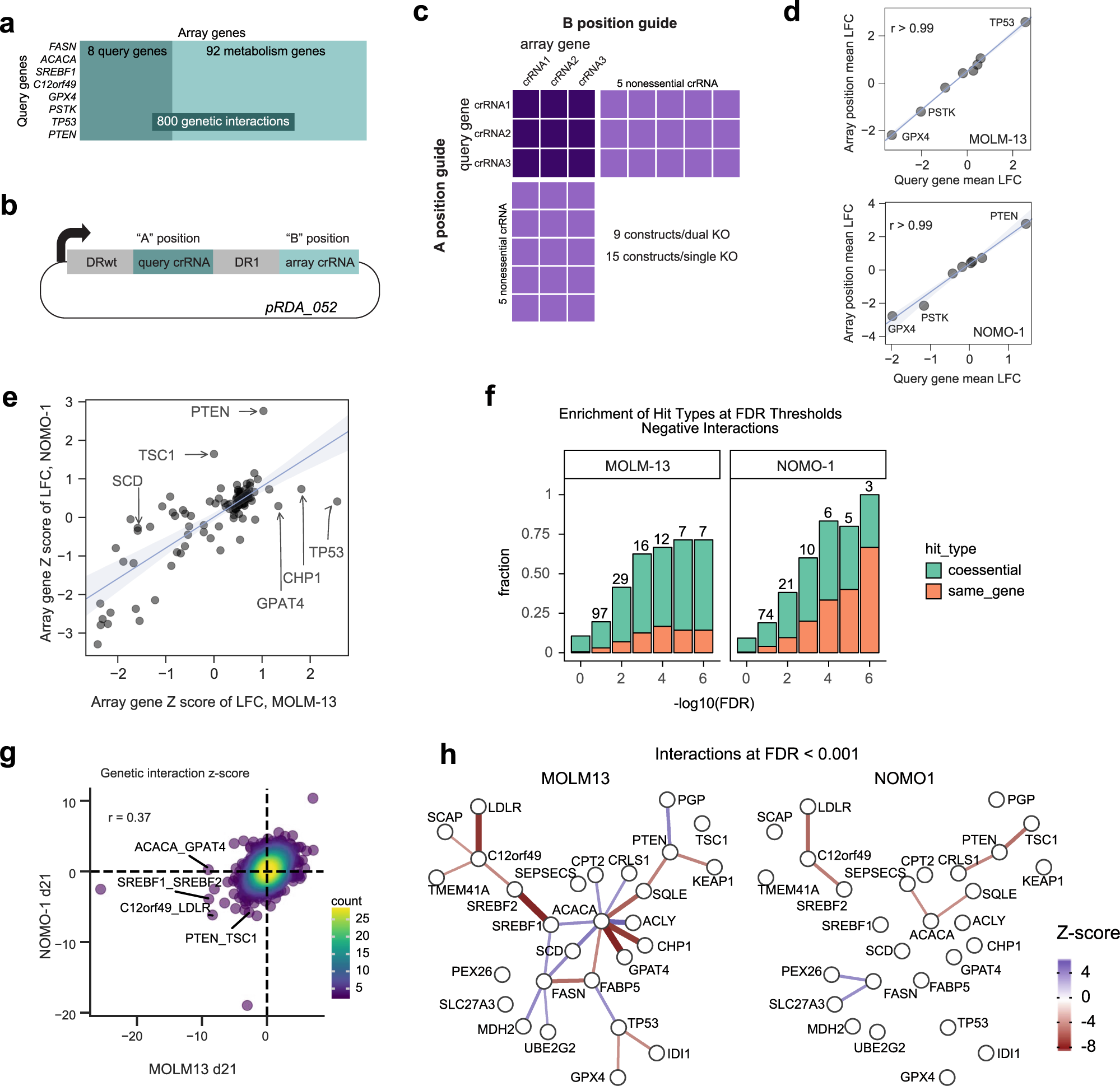 Fig. 4: Genetic interactions reveal a rewired lipid biosynthesis pathway in FASTS cells.