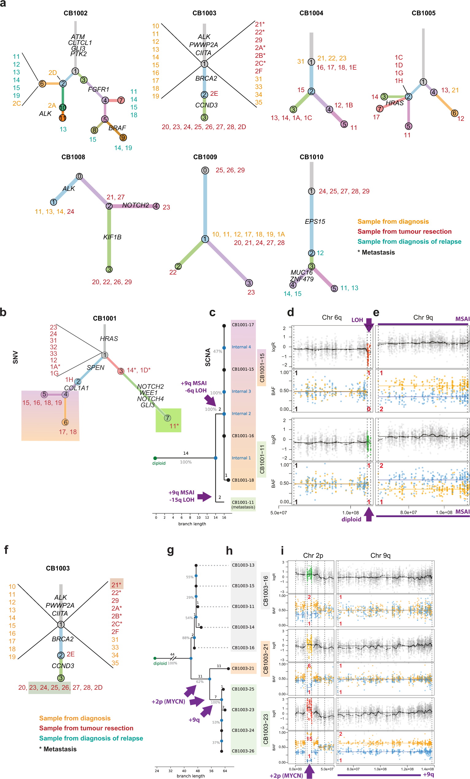 Fig. 4: Primary and metastatic tumour evolution inferred by genetic analysis of clonality.