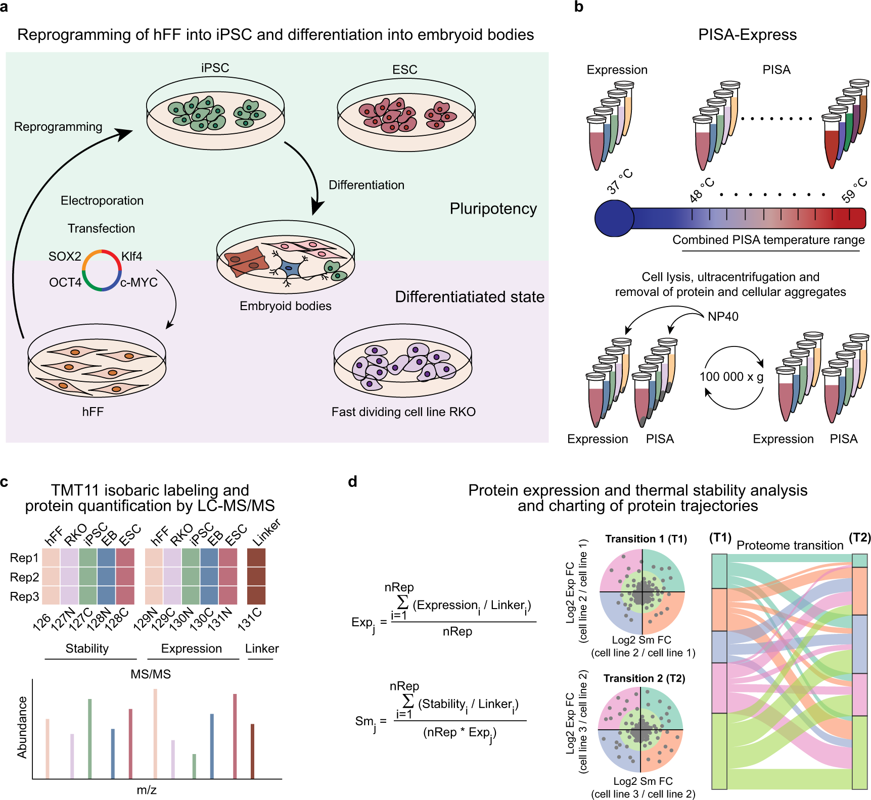 An integrative proteomics method identifies a regulator of translation during stem cell maintenance and differentiation | Nature Communications An integrative proteomics method identifies a regulator of translation during stem cell maintenance and differentiation | Nature Communications