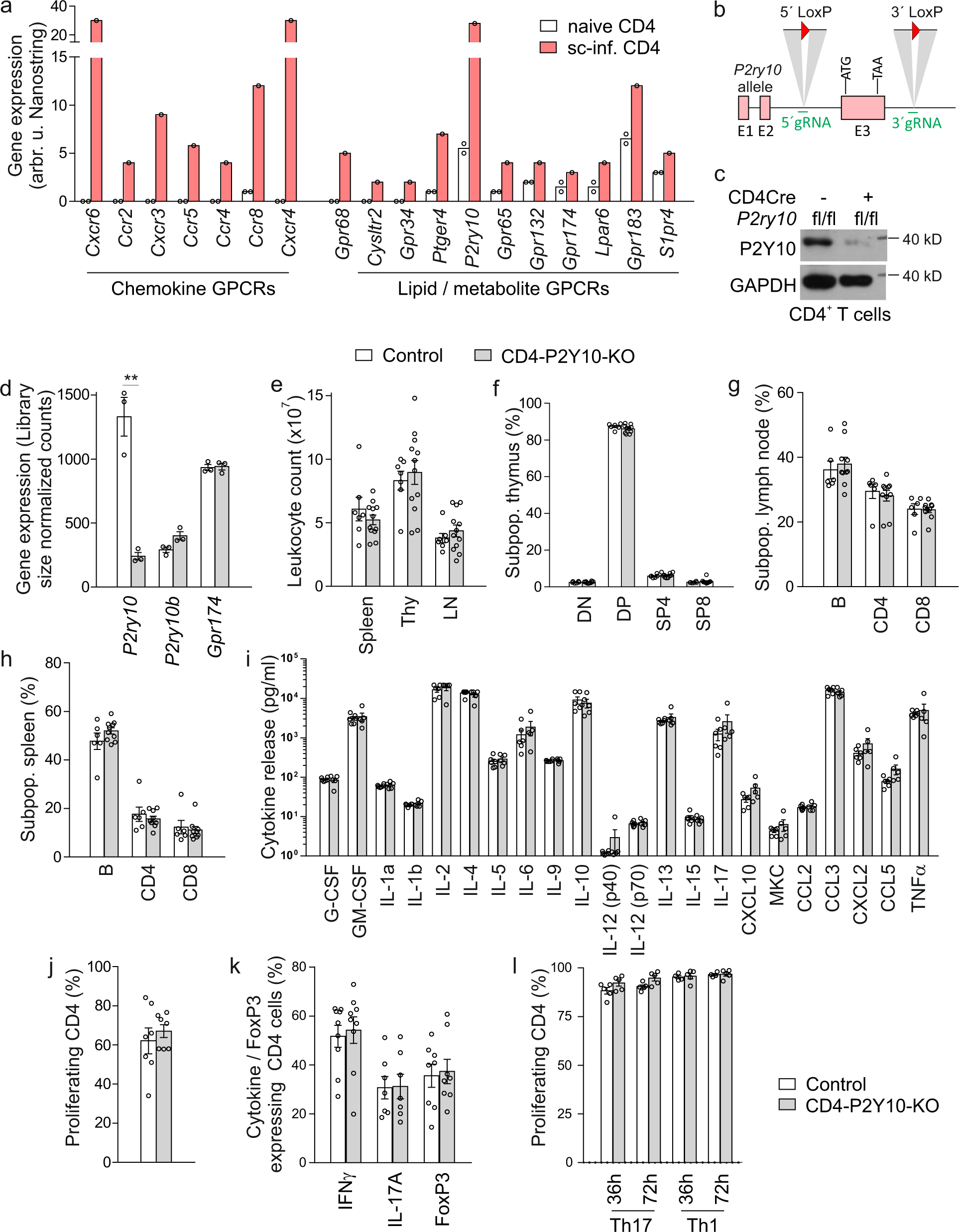 G-protein-coupled receptor P2Y10 facilitates chemokine-induced CD4 T cell  migration through autocrine/paracrine mediators | Nature Communications