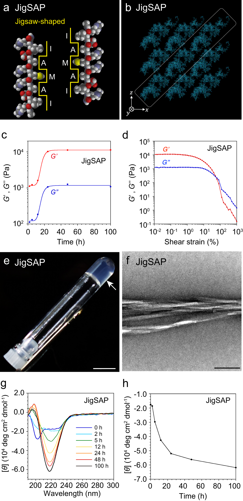 Efficient protein incorporation and release by a jigsaw-shaped  self-assembling peptide hydrogel for injured brain regeneration | Nature  Communications