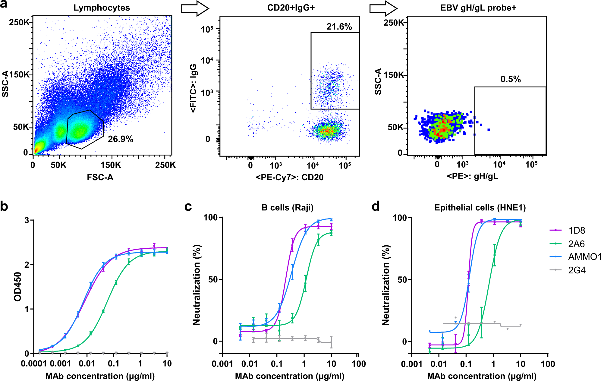 A potent and protective human neutralizing antibody targeting a novel  vulnerable site of Epstein-Barr virus | Nature Communications