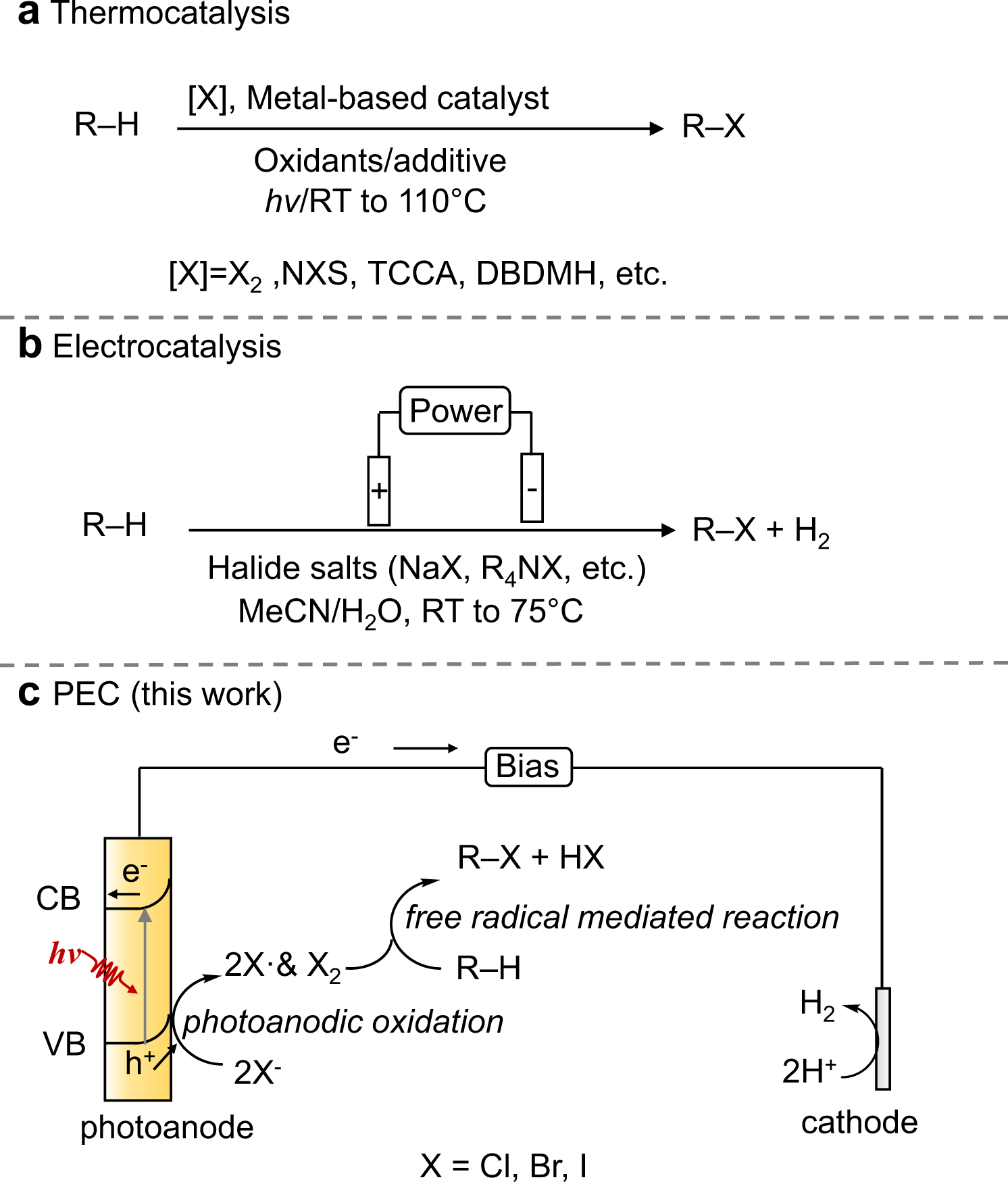 Fig. 2: C–H halogenation.