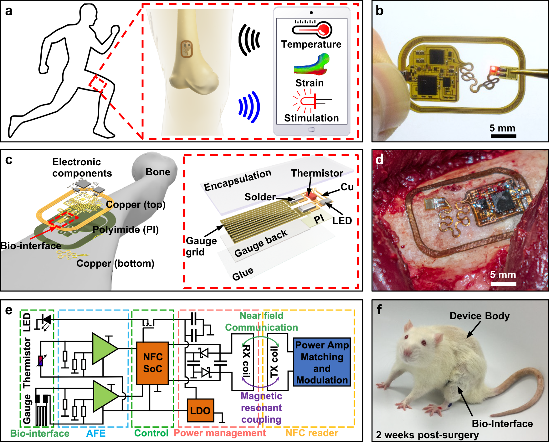 https://media.springernature.com/full/springer-static/image/art%3A10.1038%2Fs41467-021-27003-2/MediaObjects/41467_2021_27003_Fig1_HTML.png