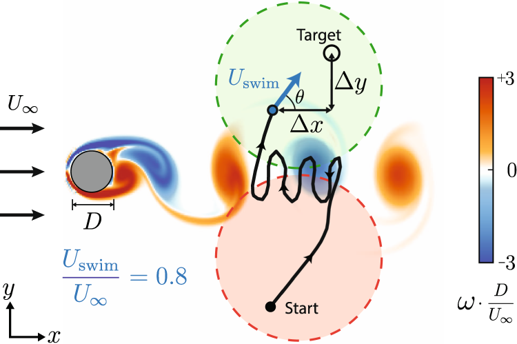 Fig. 1: Test navigation problem of navigating through unsteady cylinder flow.