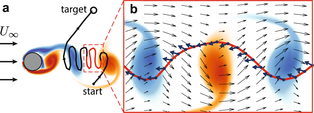 Fig. 3: Example trajectory of the velocity RL swimmer.