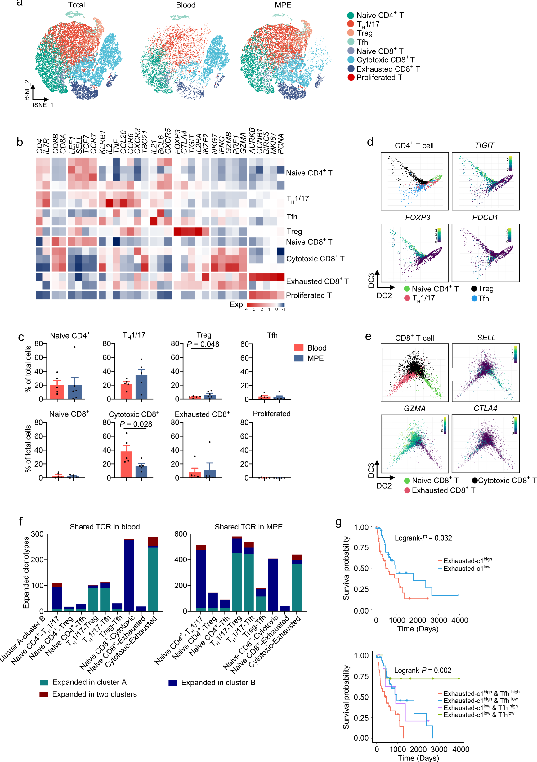 Fig. 2: Dissection and clustering of T cells in MPE patients.