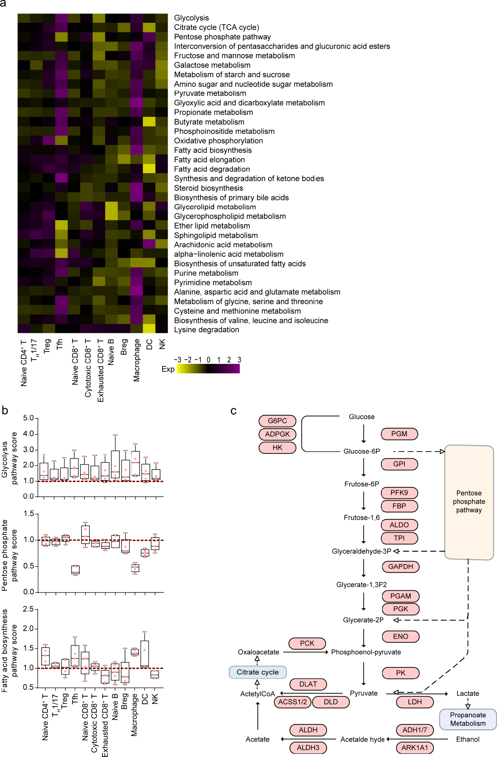 Fig. 5: Metabolic heterogeneity in MPE patients.