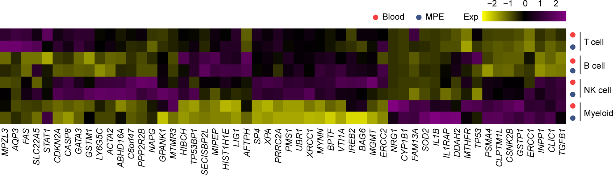 Fig. 6: The expression of genes determined by genome-wide association studies in MPE and blood.