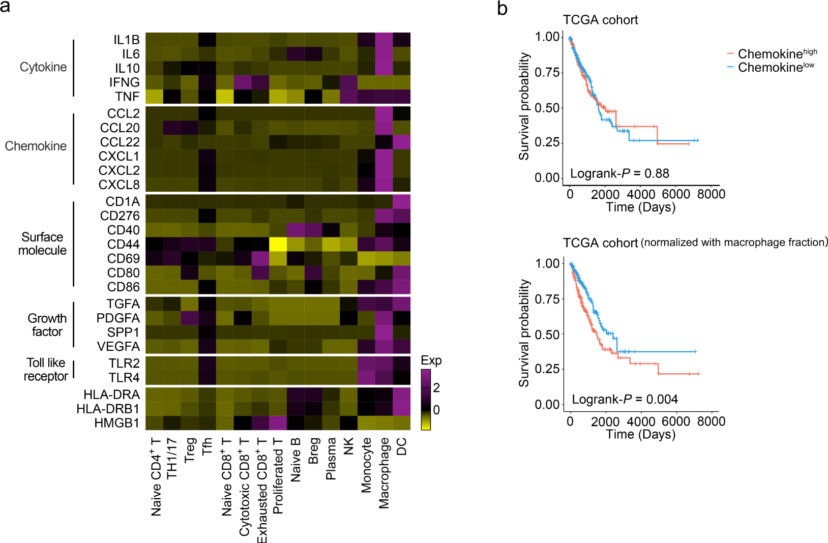 Fig. 7: Expression and survival analysis of genes associated with MPE formation.