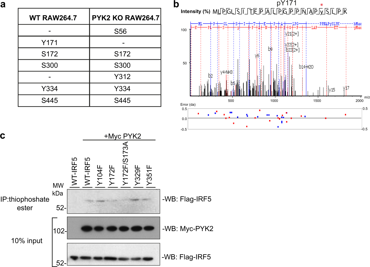 Fig. 3: PYK2 phosphorylates IRF5.