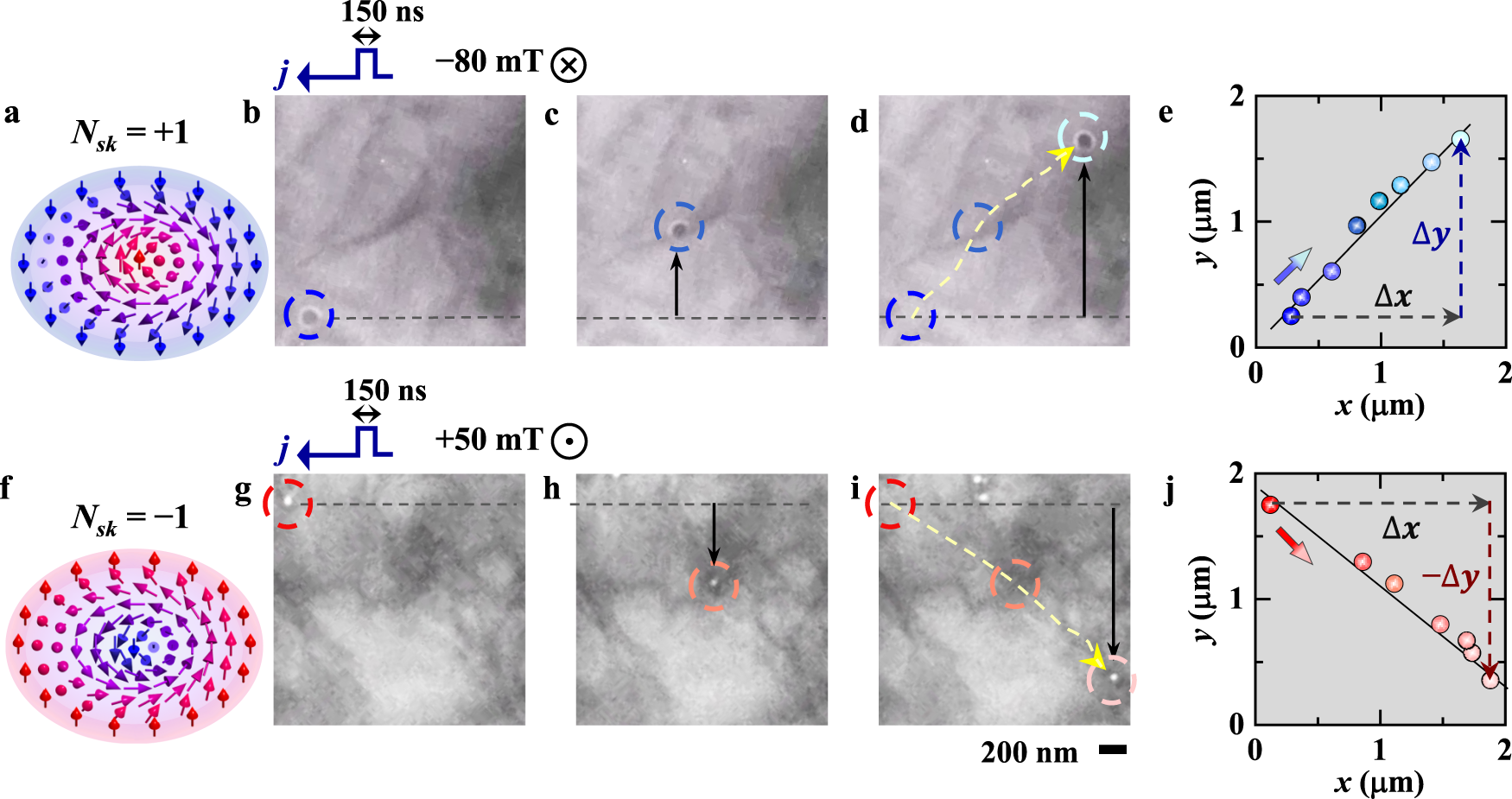Fig. 3: Reversal of Hall motion for the single skyrmion with an opposite topological number.