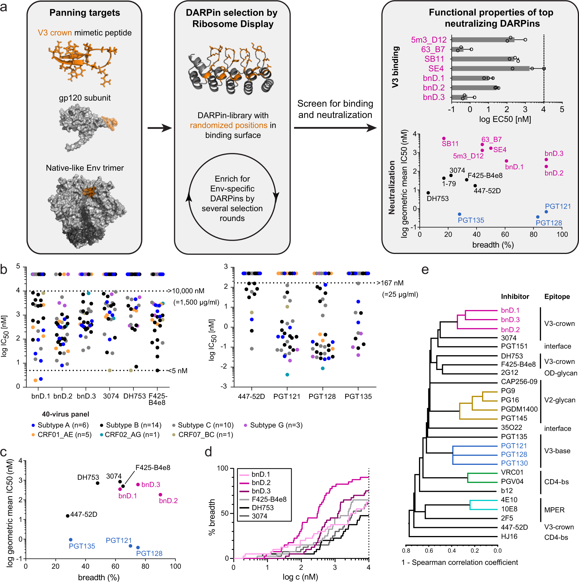 Distinct Conformations Of The Hiv 1 V3 Loop Crown Are Targetable For Broad Neutralization Nature Communications Distinct Conformations Of The Hiv 1 V3 Loop Crown Are Targetable For Broad Neutralization Nature Communications