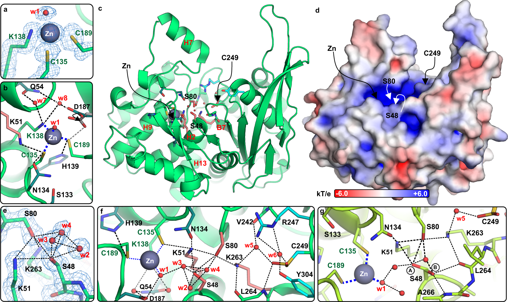 Fig. 3: Detailed view of the active site area.
