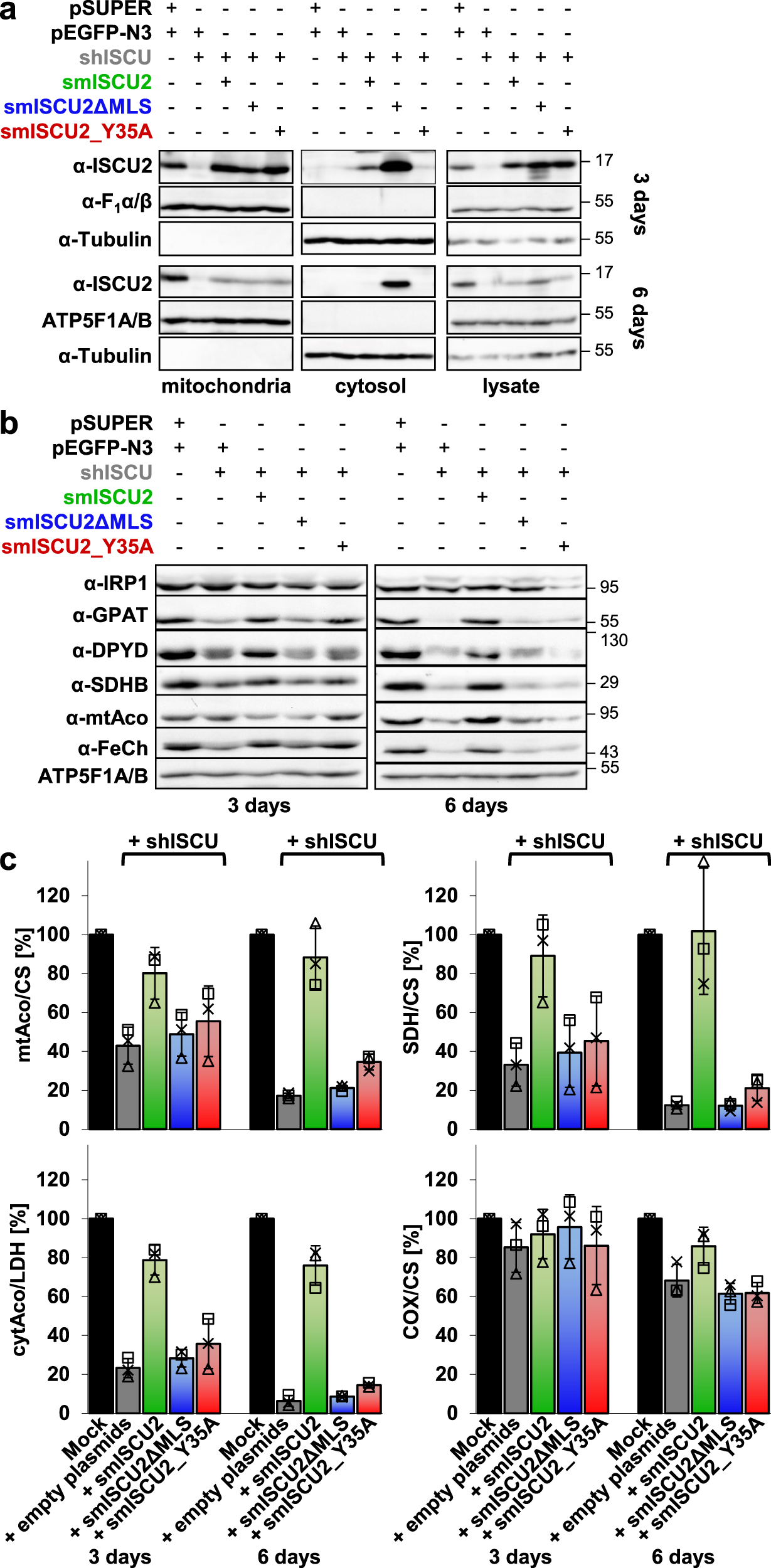 N Terminal Tyrosine Of Iscu2 Triggers 2fe 2s Cluster Synthesis By Iscu2 Dimerization Nature Communications N Terminal Tyrosine Of Iscu2 Triggers 2fe 2s Cluster Synthesis By Iscu2 Dimerization Nature Communications