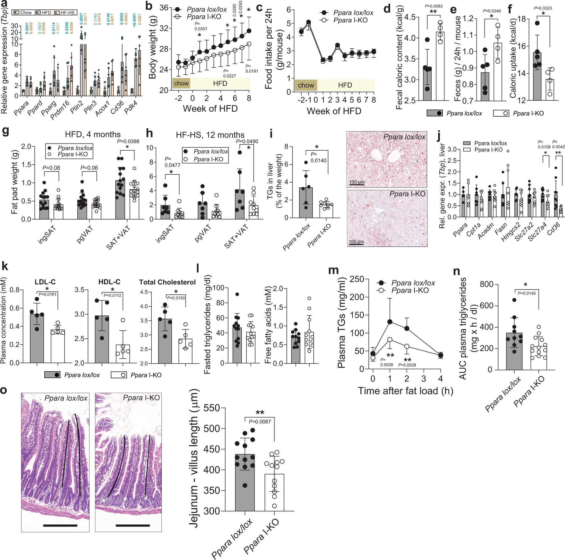 Fig. 3: Ppara intestinal KO reduces adiposity, caloric uptake and postprandial lipidaemia on HFD.
