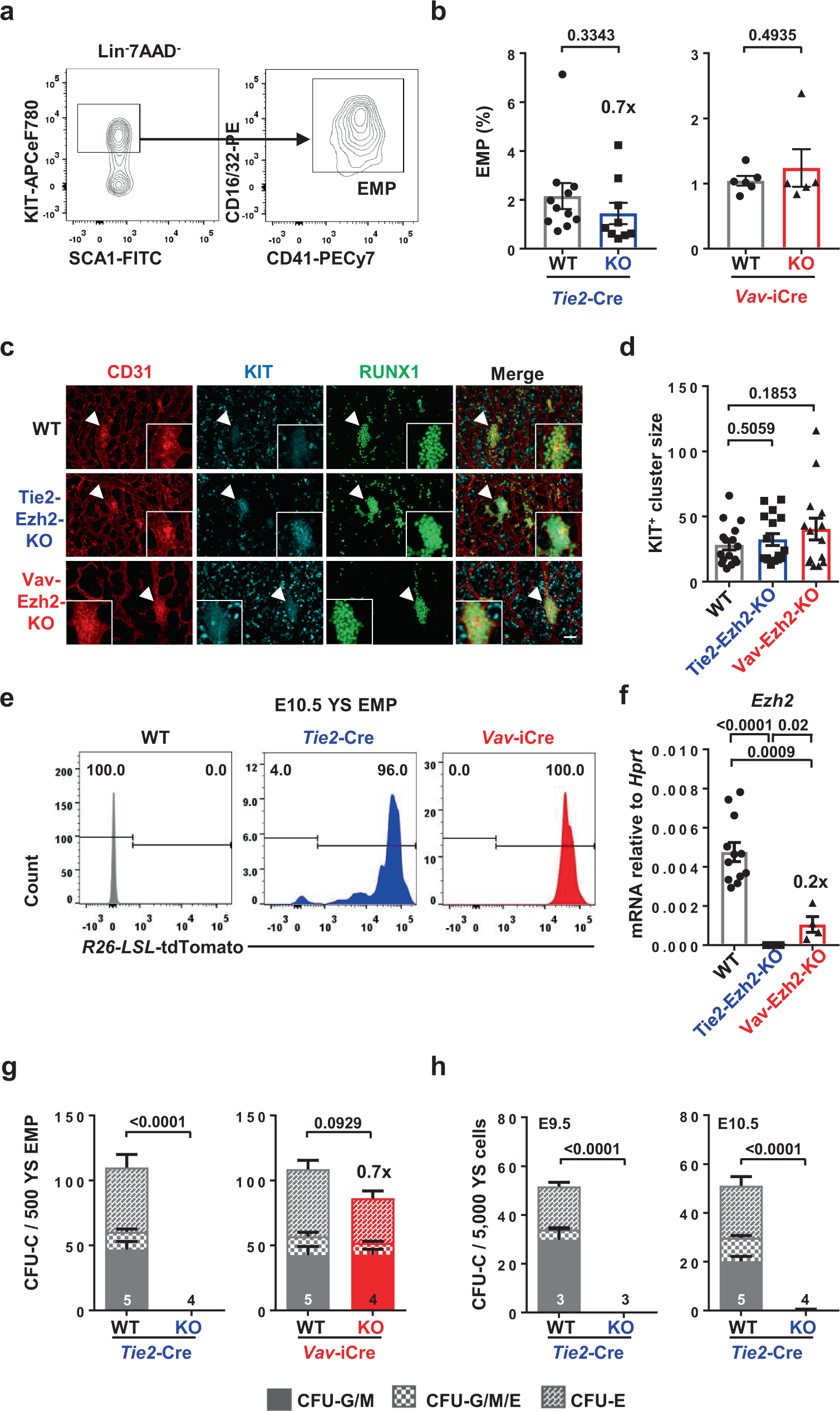 Ezh2 is essential for the generation of functional yolk sac derived  erythro-myeloid progenitors | Nature Communications