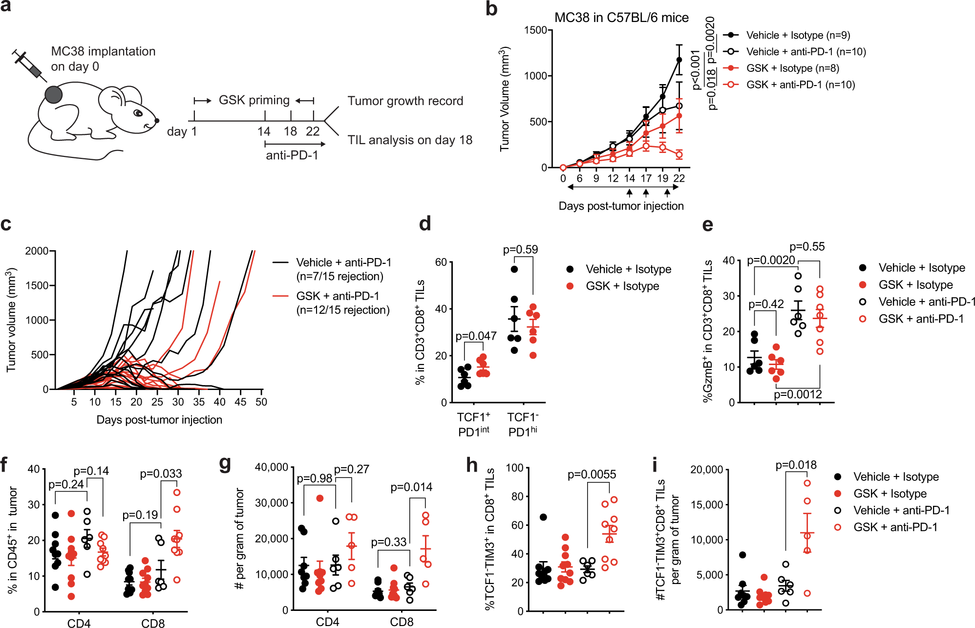 Fig. 7: Targeting LSD1 enhances long-lasting response to anti-PD-1 treatment.