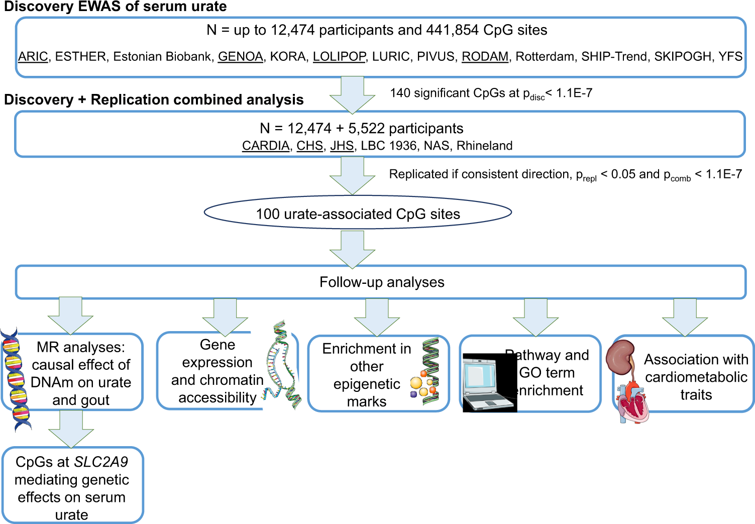 Fig. 1: Flowchart of analyses.