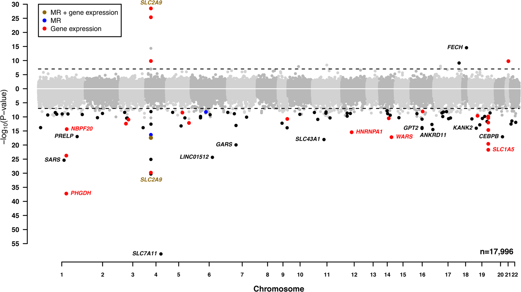 Fig. 2: CpGs in the EWAS of serum urate from the combined meta-analysis of discovery and replication results (n = 17,996).