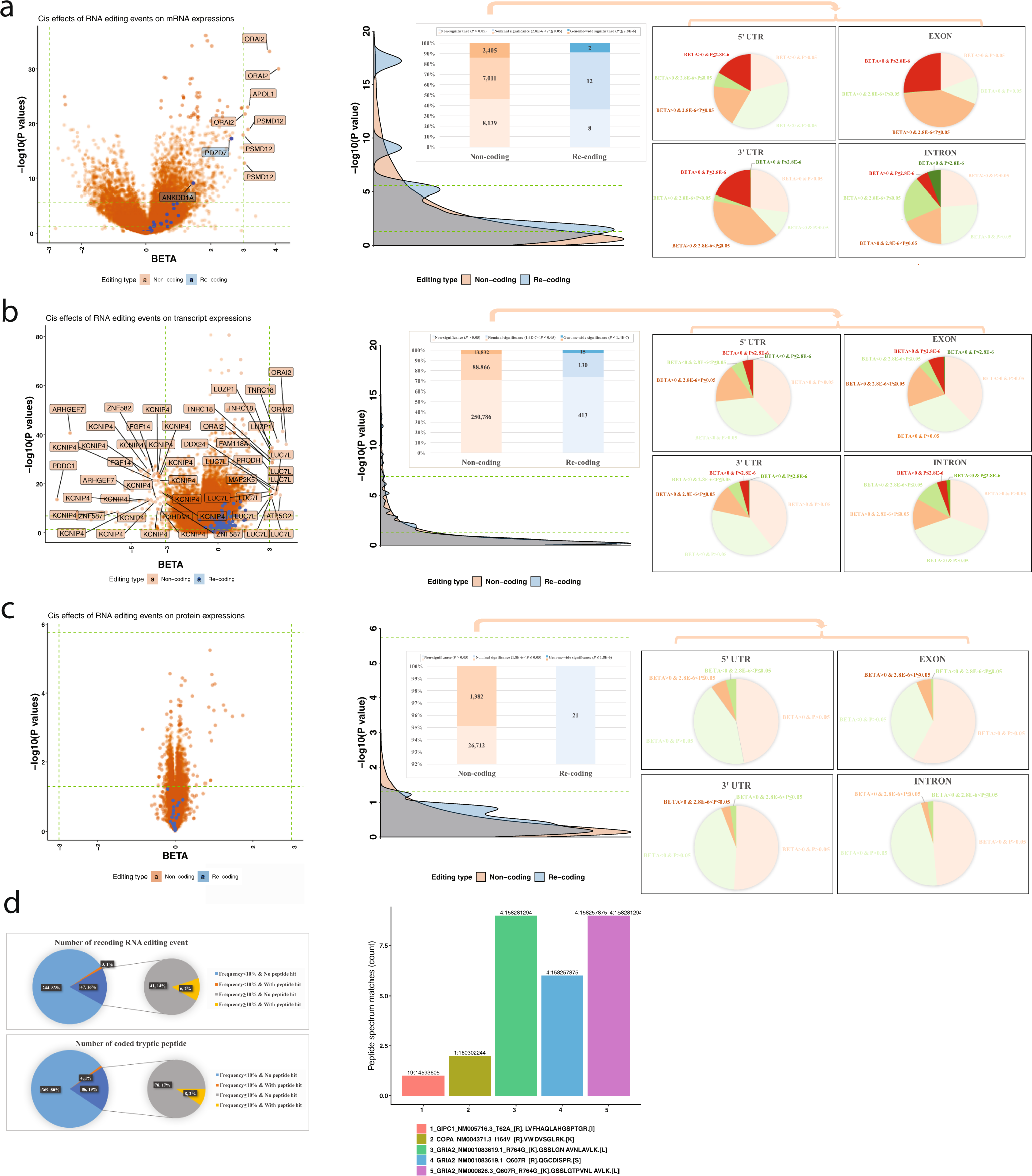 Fig. 4: Functional exploration of RNA editing events (non-coding and re-coding ones).