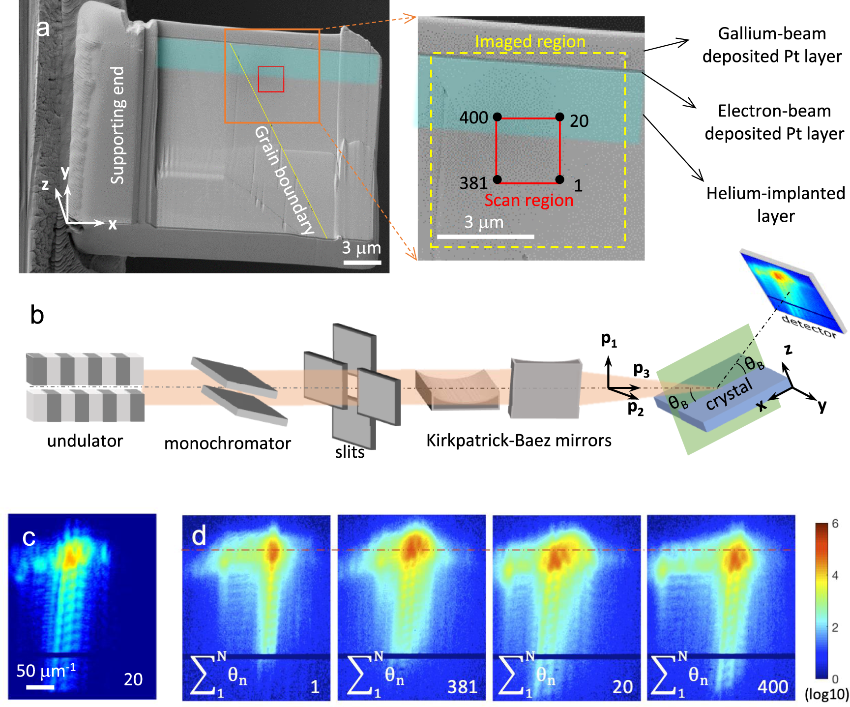 Revealing nano-scale lattice distortions in implanted material with 3D  Bragg ptychography | Nature Communications