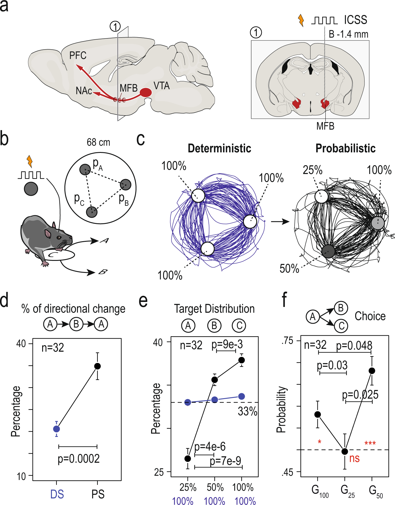 Novelty speeds up learning with dopamine