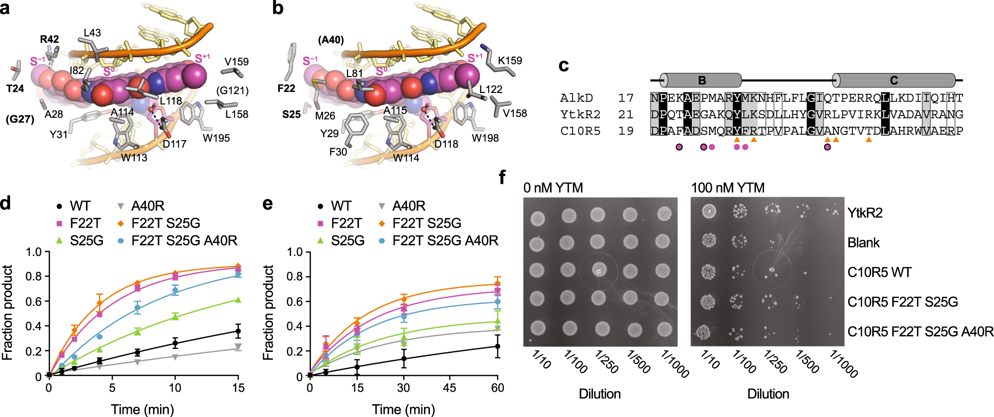 Fig. 6: Molecular basis of C10R5 substrate specificity.