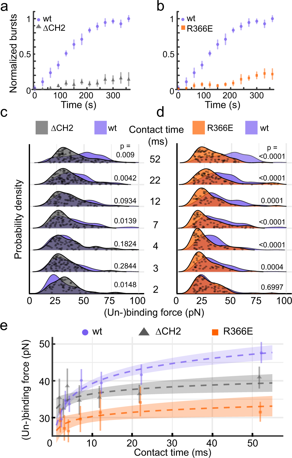 Fig. 4: YidC mutated in the cytoplasmic region or hydrophilic groove binds Pf3 with different forces.