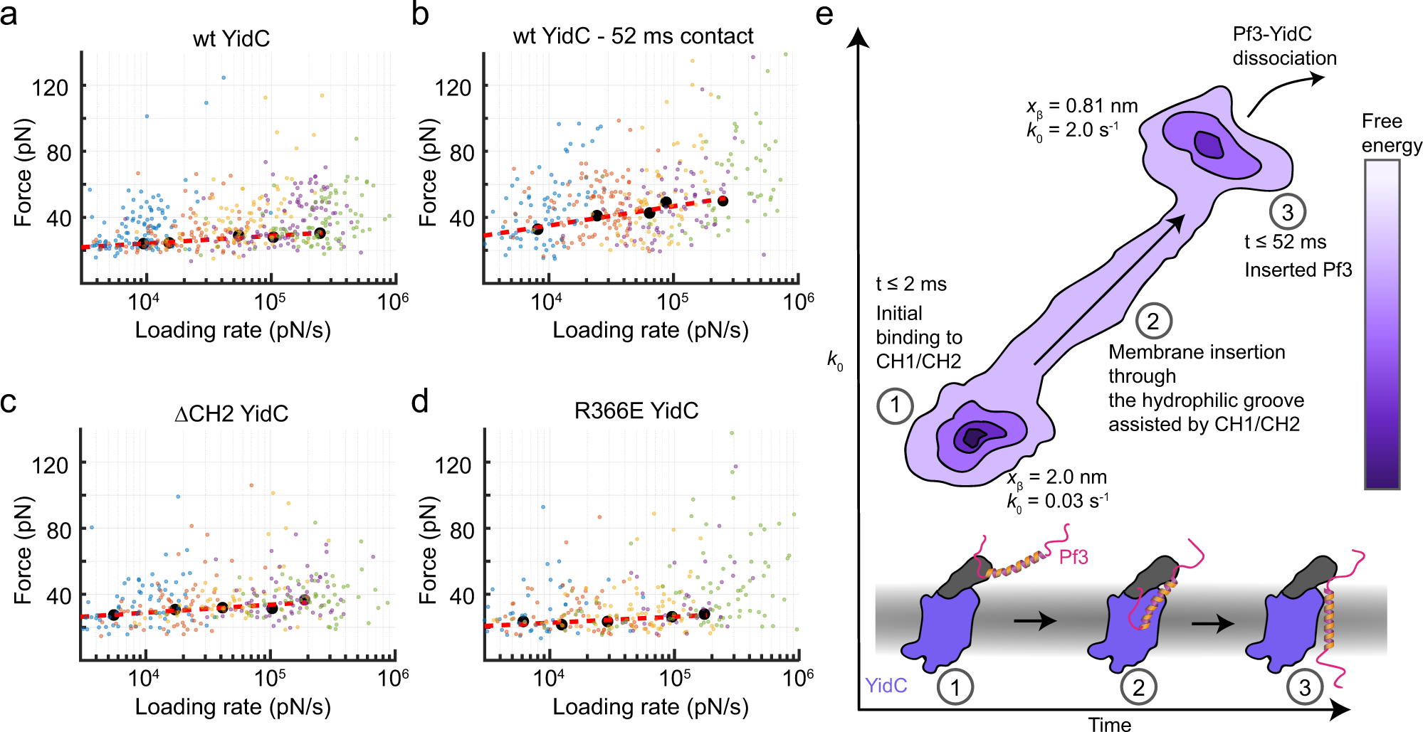 Fig. 5: Free-energy landscape of YidC binding Pf3.