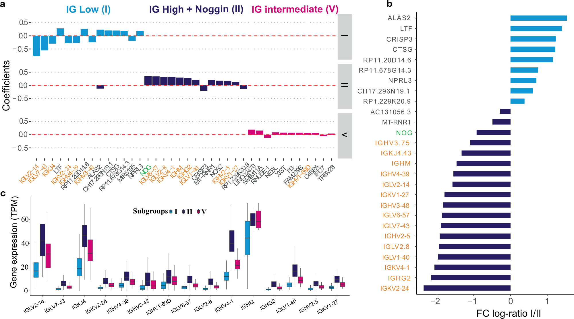 Fig. 3: Genes associated with subgroups I (low survival), II (high survival) and V (intermediate survival).