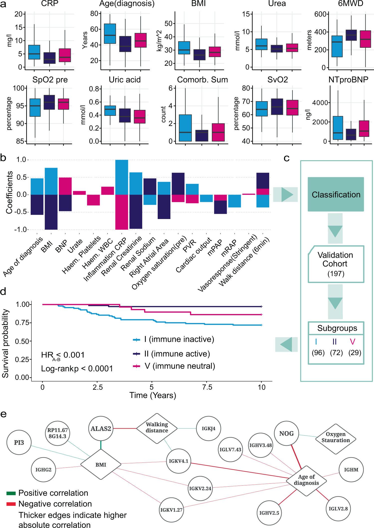 Fig. 5: Clinical variables descriptive of RNA subgroups and used for classification of new patients.