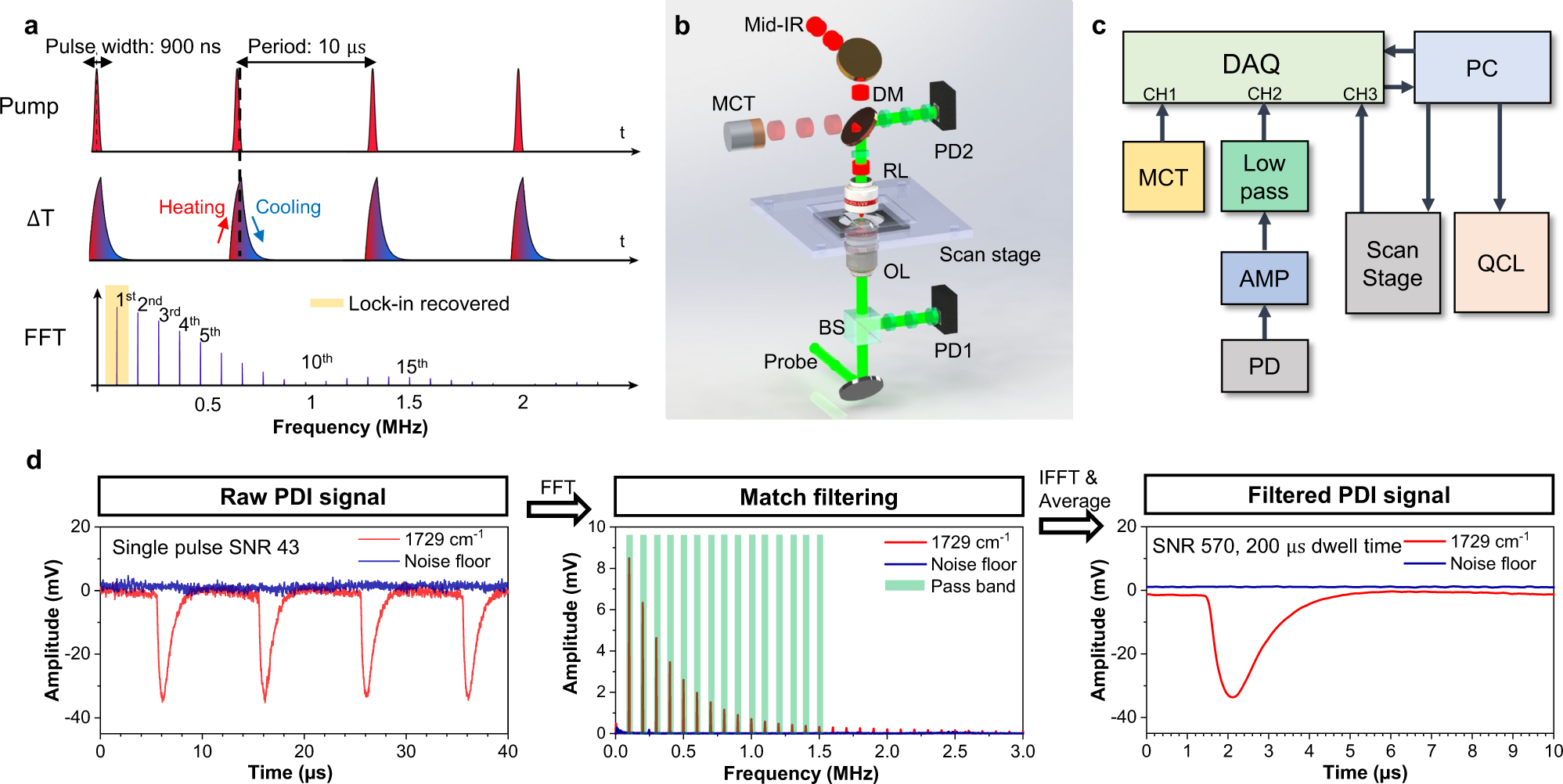 Nanosecond-resolution photothermal dynamic imaging via MHZ digitization and match filtering | Nature Communications Nanosecond-Resolution Photothermal Dynamic Imaging Via Mhz Digitization And Match Filtering | Nature Communications